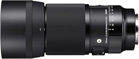 Sigma 105mm F2.8 DG DN Macro Art (Sony E-mount) view 3